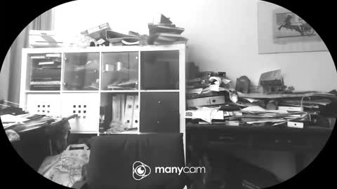 vejun2025 online show from September 11, 7:47 pm