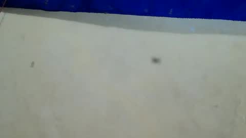 velvet online show from December 12, 8:25 am