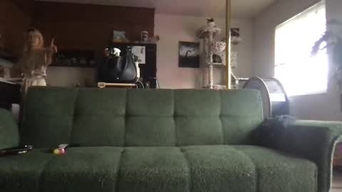Snapshot of venustheflytrap chatting on May 22, 9:31 pm venustheflytrap online show from May 22, 9:31 pm