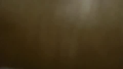 Snapshot of vera_octopus chatting on December 6, 2:38 pm CHLOE the C L are silent online show from December 6, 2:38 pm