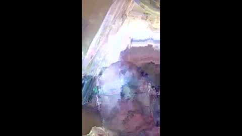 Snapshot of veronika456 chatting on June 11, 8:01 am veronika456 online show from June 11, 8:01 am