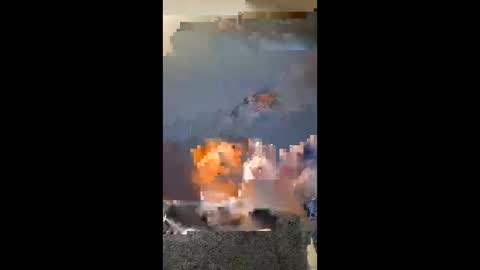 vhornynige69 online show from January 9, 3:09 am