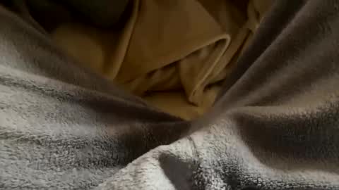 vicio online show from January 17, 4:43 pm