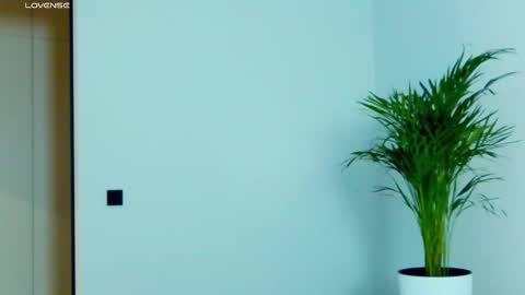 Miss V online show from November 27, 6:15 am