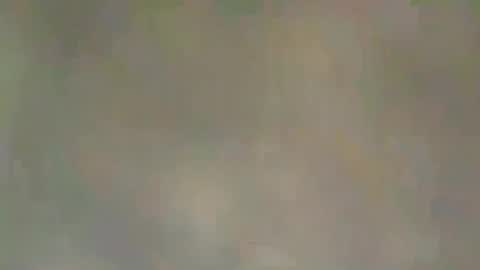 viennaguy79 online show from March 3, 7:47 am