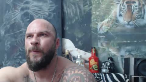 viking online show from April 16, 6:41 pm