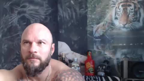 Snapshot of viking_me chatting on April 22, 6:38 am viking online show from April 22, 6:38 am