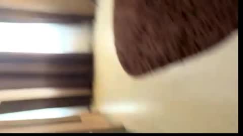 Snapshot of viktoriya_kreyzi chatting on May 31, 3:41 pm viktoriya_kreyzi online show from May 31, 3:41 pm