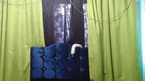 Snapshot of violetta_dreams chatting on July 1, 7:24 pm violetta_dreams online show from July 1, 7:24 pm