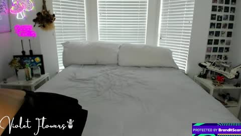 Snapshot of violetttflowers chatting on May 4, 3:52 pm Violet Flowers online show from May 4, 3:52 pm