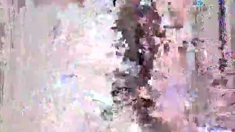 Snapshot of vitto_hammer5758 chatting on February 21, 9:49 pm vitto_hammer5758 online show from February 21, 9:49 pm