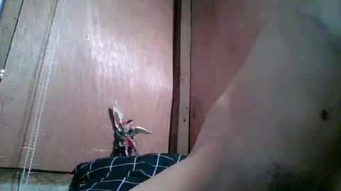 kim online show from February 10, 10:47 pm