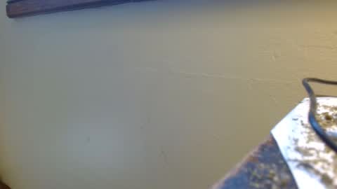 vtcd online show from April 29, 2:43 pm