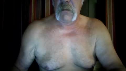 wahassa online show from October 19, 10:38 am