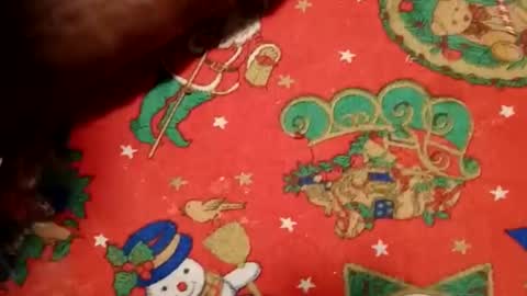 ghhhgh online show from December 11, 9:52 am