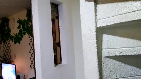 Snapshot of waningrosee chatting on January 4, 2:25 am Waningrose  Lu online show from January 4, 2:25 am