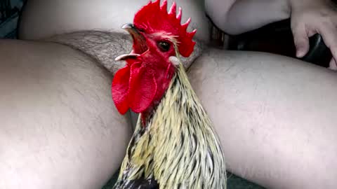 classified online show from October 4, 7:34 pm