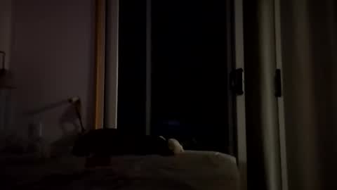 Snapshot of watershed111111 chatting on January 14, 3:56 am watershed111111 online show from January 14, 3:56 am