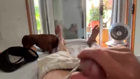 Snapshot of watershed111111 chatting on February 6, 11:08 pm watershed111111 online show from February 6, 11:08 pm