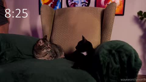 Snapshot of waynenorth chatting on February 22, 3:21 pm waynenorth online show from February 22, 3:21 pm