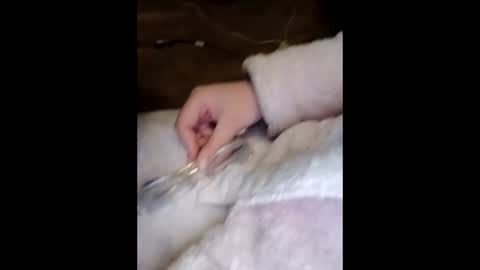 Marina online show from March 23, 10:03 pm