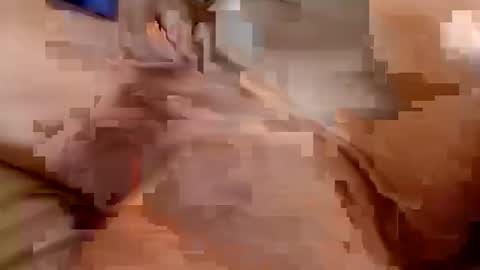 welldny online show from October 25, 4:46 pm