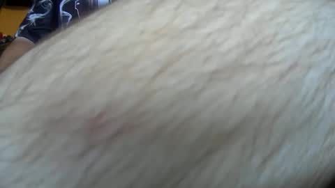 Snapshot of werewolf549 chatting on October 14, 7:53 am werewolf549 online show from October 14, 7:53 am