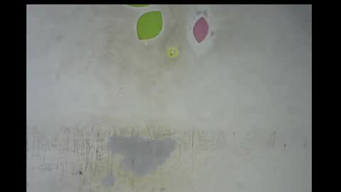 Bella online show from November 14, 12:53 am