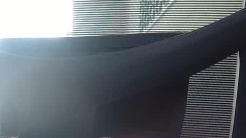 Snapshot of wetbigdickstream chatting on June 13, 12:14 pm Wetbigdickstream online show from June 13, 12:14 pm