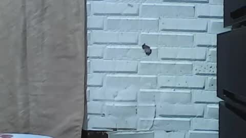 Snapshot of wettyhottie69 chatting on February 3, 6:11 am wettyhottie69 online show from February 3, 6:11 am