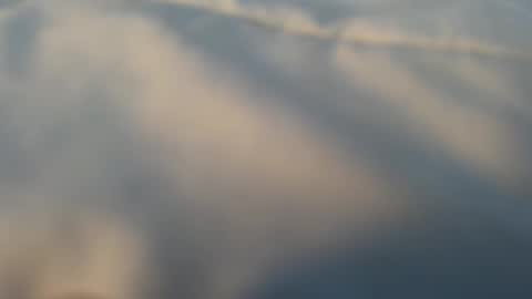 whatever_i_have_to_do online show from March 13, 5:08 pm