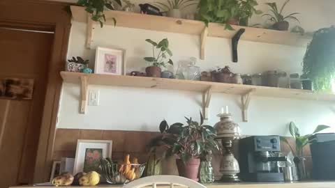 WhiskyLove online show from November 4, 4:50 pm