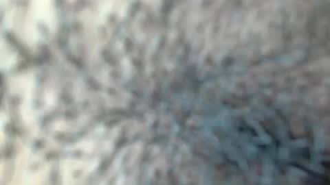 white_sexy_ online show from January 18, 11:30 pm