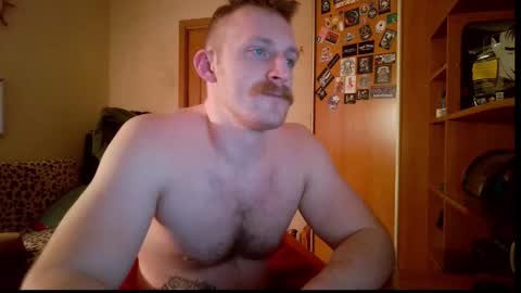 WhiteBull online show from February 8, 6:11 pm