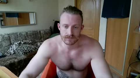 WhiteBull online show from May 31, 12:45 pm