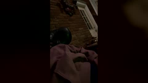 whiteshaveduke online show from February 11, 9:36 am