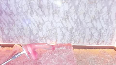 whitneyyfox online show from February 28, 3:37 am