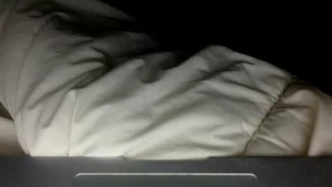 wholesomebull00 online show from November 10, 4:55 am