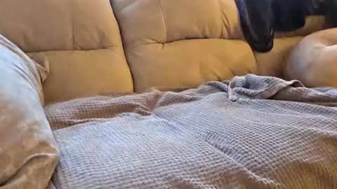 whorekneeweeny online show from August 5, 8:44 pm