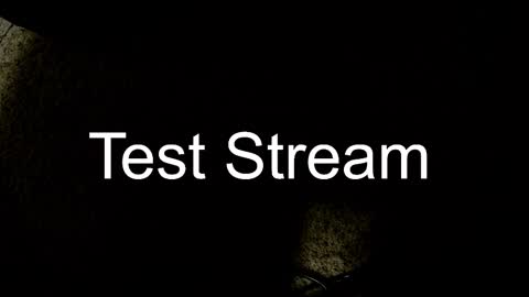 Snapshot of whowhat314159 chatting on October 30, 3:30 am Will online show from October 30, 3:30 am