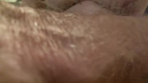 wildinwest online show from October 8, 7:06 am