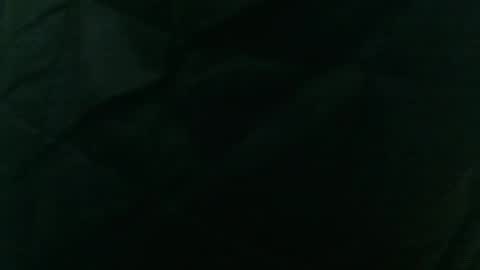 wildinwest online show from February 9, 7:34 am