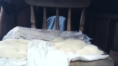 Snapshot of wildman6 chatting on January 26, 8:34 pm wildman6 online show from January 26, 8:34 pm