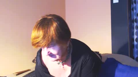WildRedCat online show from January 14, 12:24 pm