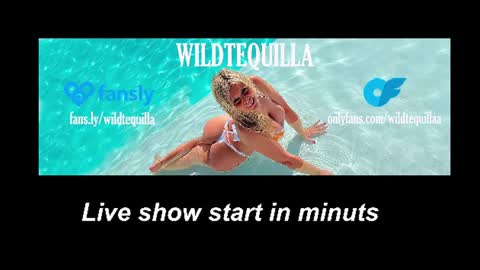 Snapshot of wildtequilla chatting on August 3, 6:44 pm Lili online show from August 3, 6:44 pm