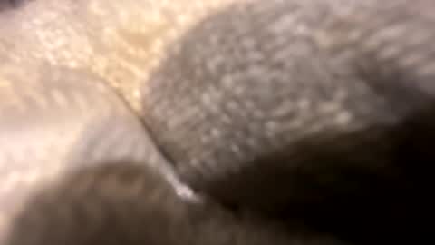 Snapshot of wiley0520 chatting on October 27, 11:36 am wiley0520 online show from October 27, 11:36 am