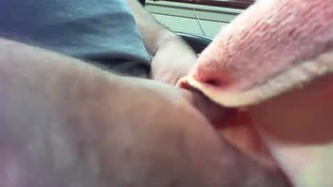 willampeters online show from September 24, 6:11 pm