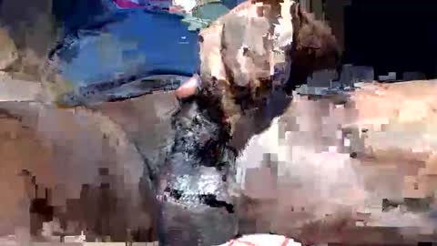 willianel online show from December 13, 11:43 pm