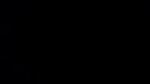 williewants online show from November 28, 10:29 am