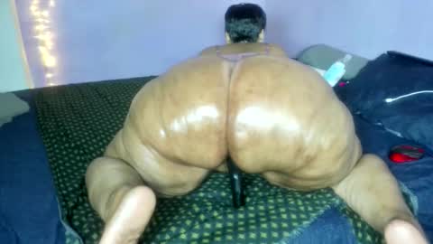 wilmaassylum online show from December 18, 6:19 am